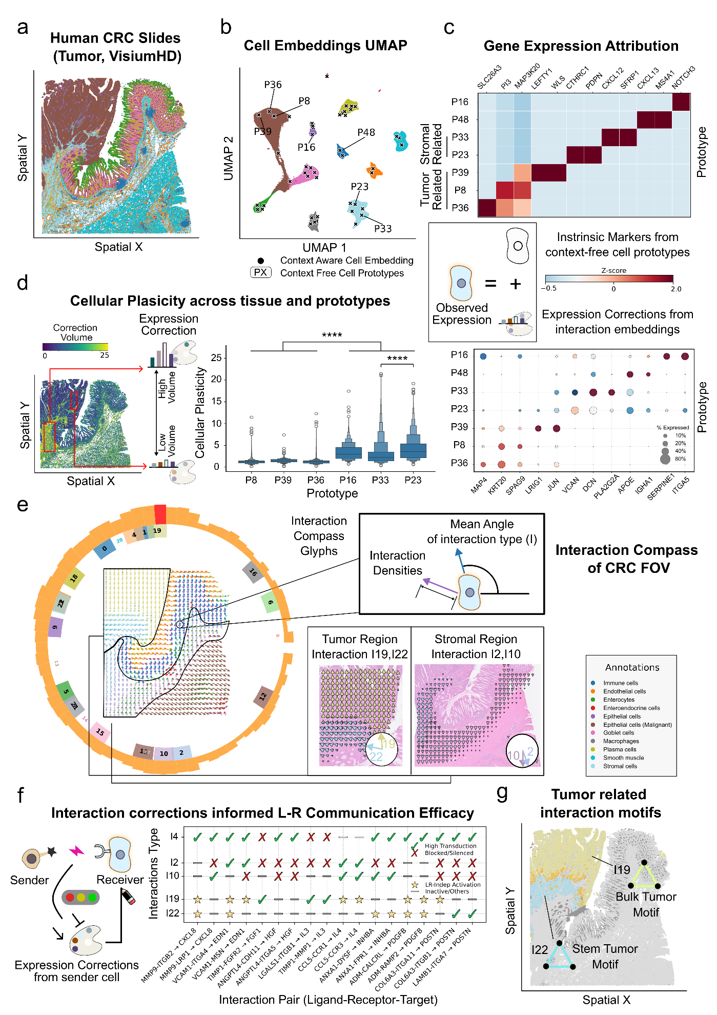 Figure 3 — CRC interaction compass, plasticity scores, and interaction motifs